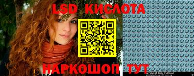 spice Кимры
