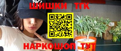 jwh Кингисепп