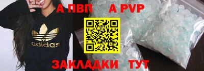 jwh Кингисепп