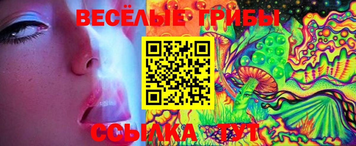 Псилоцибиновые грибы MAGIC MUSHROOMS  Вход с VPN  Чебоксары 