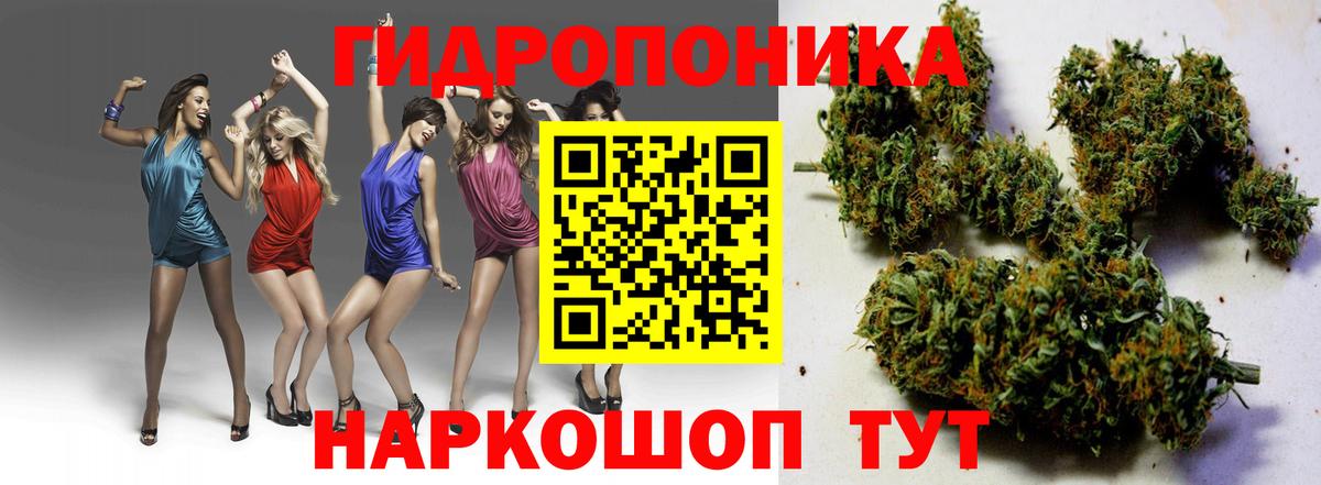 Канабис сатива Чебоксары